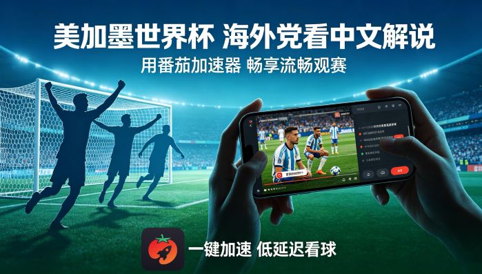 为什么央视频的直播在海外看不了？教程